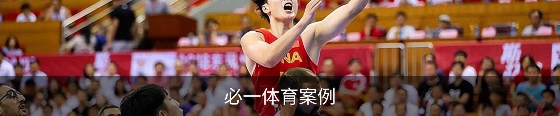 必一体育案例