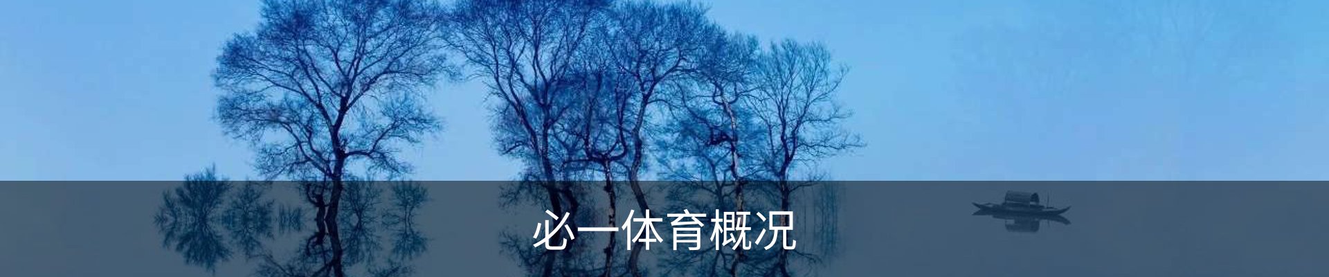 必一体育概况